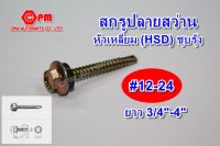 สกรูหัวเหลี่ยมปลายสว่าน (HSD) ชุบรุ้ง พร้อมแหวนยาง ขนาด #12-24 ยาว 3/4"-4"