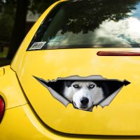 Husky 17CM\20CM Self-adhesive Decal Car Sticker Waterproof Auto Decors on Bumper Rear Window Laptop # 60415 Bumper Stickers Decals  Magnets