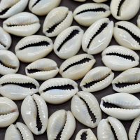 50ชิ้นสีขาวเปลือกหอยทะเล Cowry เสน่ห์ลูกปัดเครื่องประดับอัญมณีชายหาดสำหรับผู้หญิงเปลือกหอยต่างหูสร้อยคอสร้อยข้อมือ