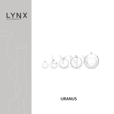 LYNX -  Uranus  - แจกันแก้ว แจกันแขวน ทรงกลม แบบแขวน สำหรับตกแต่งบ้านสมัยใหม่และมีสไตล์