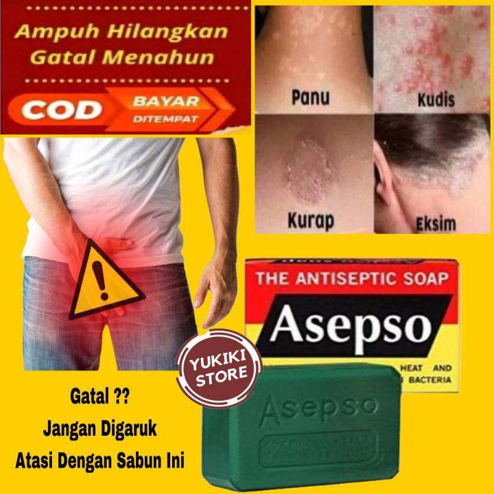 Sabun Asepso Antiseptik Atasi Biang Keringat Sabun Mandi Soap Antiseptic Fresh Healthyasepso