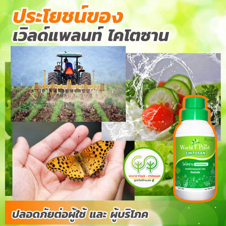 เวิลด์แพลนท์-ไคโตซาน-world-plant-chitosan-ปุ๋ยน้ำ-สูตรโอลิโกเมอร์-เพิ่มผลผลิต-เป็นมิตรกับเกษตรกร