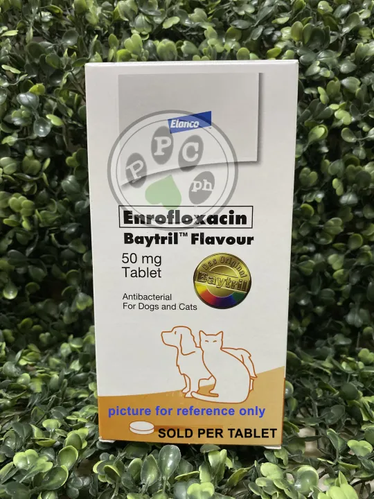 Baytril Flavoured Enrofloxacin for dogs and cats PER TABLET Lazada PH