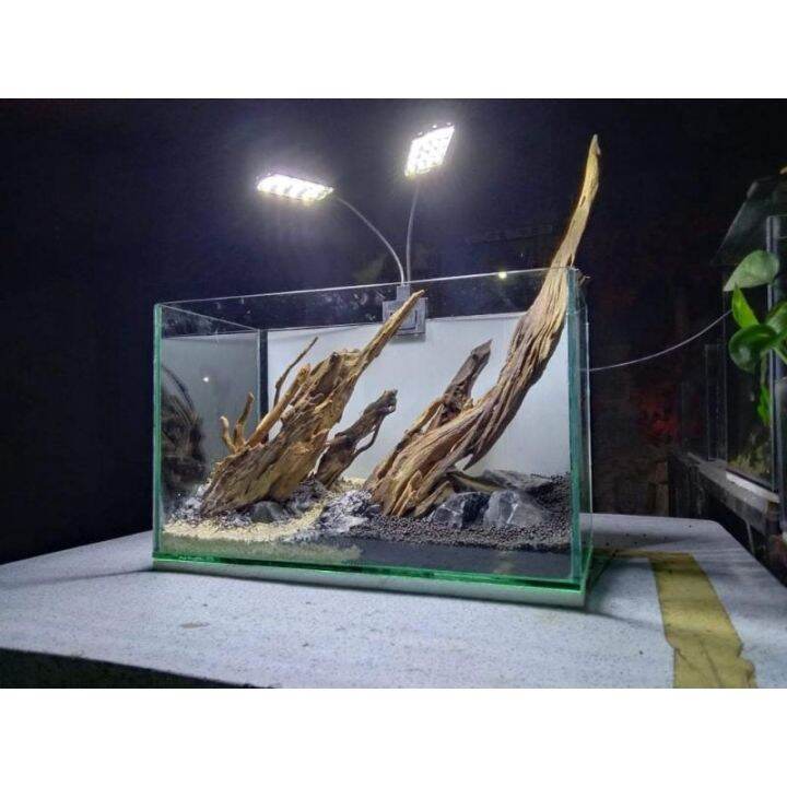 (FREE JAVA MOSS) Driftwood (Twigs) 280 per set ( Good for Nano tank ...