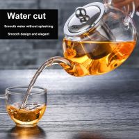 Heat Resistant Glass Tea Pot Infuser With Stainless Steel Filter Chinese Kung Fu Tea Set Kettle Coffee Teapot Drink Home Decor