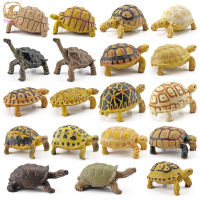 Hot Sale Realistic Turtle Action Figure Lifelike Amphibian Reptile Model Ornaments For Children Gifts Home Decoration