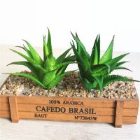 【cw】 15cm Large Succulents Garden Decoration Artificial Desktop Ornament Fake