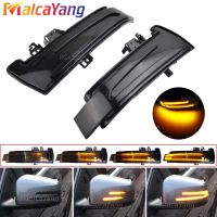 LED Side Mirror Indicator Repeater Dynamic Indicator Blinker Light For Mercedes-Benz W176 W246 W212 W204 C117 X156 X204 W221