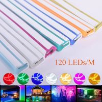 【Ready Stock】₪❦▧ D30 Led Neon Light Strip 12V Waterproof 2835 Led Strip 120Led/m Ribbon12V IP67 White/Warm White Red Green Blue Pink Yellow Led Tape