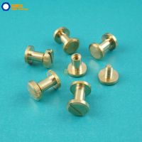 50 Set 8x6mm Solid Brass Rivet Chicago Screw for Leather Craft Belt Wallet / Flat