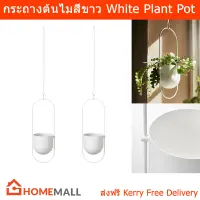 กระถางต้นไม้แขวน modern วินเทจ ร่วมสมัย กระถางต้นไม้ กระถางสวยๆ สีขาว (2ใบ) Hanging Plant Pot Stands Flower Pot Hanger Garden Pots White Color (2unit)