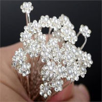 A CWwart20pcs Flower Bridal Wedding Hair Pins Wedding Accessories Bridal Pearl Hairpins Crystal R Diamante Hair Pins Clips