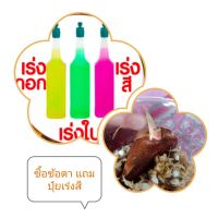 ข้อตาเสน่ห์จันทน์บุษราคัมฟลูมิ้น โปรโมชั่น แถมปุ๋ยเร่งสี 1หลอด มีจำนวนจำกัดนะค่ะ