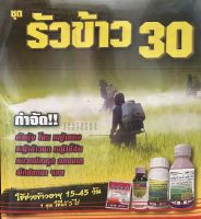 รัวข้าว 30  กำจัด วัชพืชในข้าว