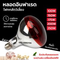 หลอดไฟอินฟาเรด หลอดไฟกกลูกไก่ กกลูกหมู กกสัตว์ กกนก 100W/150W/175W/200/250W ให้ความอบอุ่นสัตว์เล็ก