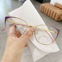 New Cat Eye Anti-blue Light Glasses Women Men Metal Spring Leg Eyeglass Frame Optical Computer Glasses Wholesale