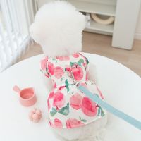 Puppy Pullable Pet Summer Princess Dress Cats Vest Teddy bichon Pomeranian Yorkshire Maltese Dogs Sweet Peach Clothes Skirt Clothing Shoes Accessories