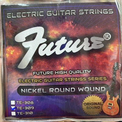 Future สายกีต้าร์ไฟฟ้า Electric Guitar String รุ่น TE309 (.009-.042)