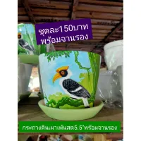 กระถางเพ้นลายสด5.5พร้อมจานรอง