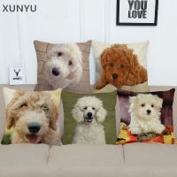 hot！【DT】❃  XUNYU Cartoon Pillowcase Sofa Cover Pattern Cushion 45X45cm AC024