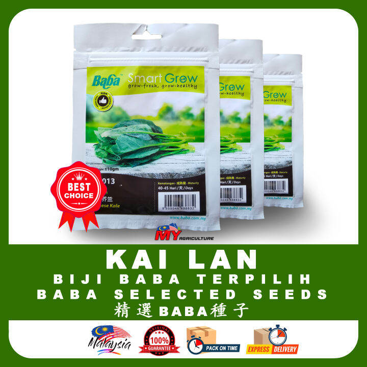 BABA BIJI KAI LAN SEEDS (10G +-) - MY AGRICULTURE ( BUAH SAYUR FRUITS ...