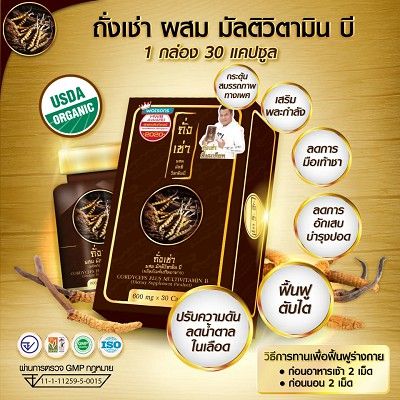 ถั่งเช่ายิ่งยง-cordyceps-plus-multi-vitamin-b-ถั่งเช่าวิตามินบี-บรรจุ-30-แคปซูล