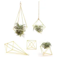 Air Plant Holder 5 Packs Metal Decor Modern Geometric Hanger Hanging Air Plants Planter Tabletop Display Rack