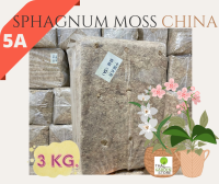 Sphagnum Moss China Grade AAAAAสแฟกนั่มมอสจีนเกรดAAAAA  3 KG.