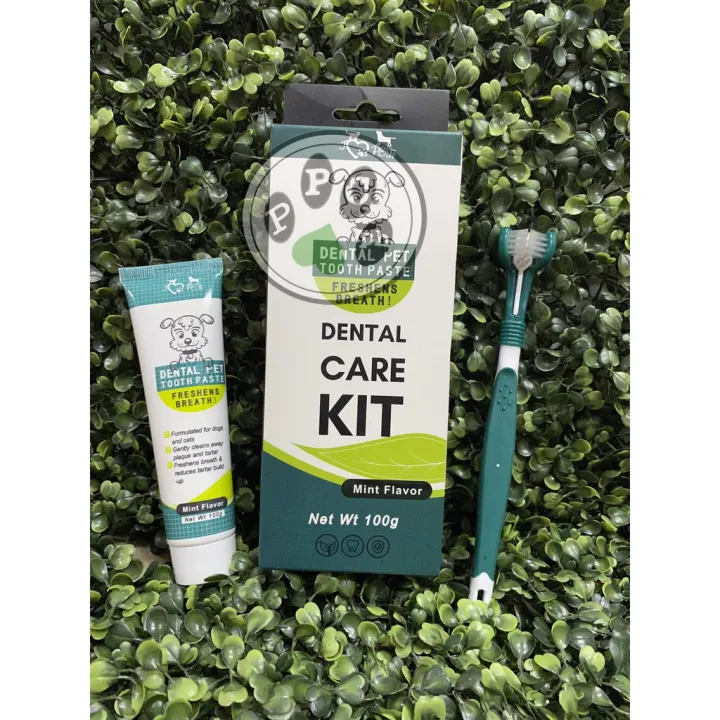 Dental Pet Toothpaste Kit Mint Flavor 100g Lazada PH