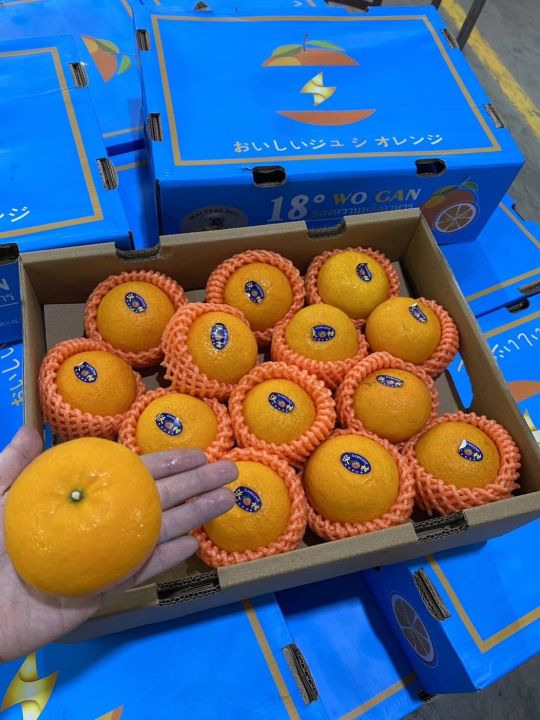 ส้มไตหวัน-กล่องสีฟ้า-wogen-size-xl-นำหนัก-5-กิโลกรัม-ประมาณ-20-24-ลูก