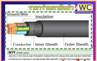 ตัดแบ่ง 10 เมตร สายไฟฝั่งดิน NYY 2แกน 2x1 2x1.5 2x2.5  3แกน 3x1 3x1.5 3x2.5 4แกน 4x1 4x1.5 4x2.5  กันความชี้น  ร้อยท่อฝังผนังคอนกรีต ร้อยท่อฝังดิน