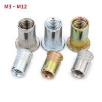 ﹍✐∈ M3 M4 M5 M6 M8 M10 M12 304 Stainless Steel Carbon Steel Aluminum Flat Head Blind Rivet Nut Insert Rivnut Nutsert for Screw Bolt