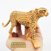 Animal Kingdom - โมเดล Cheetah Leopard เสือดาว เสือชีตาห์ ขนาด 19.00 CM (จากสงขลา)