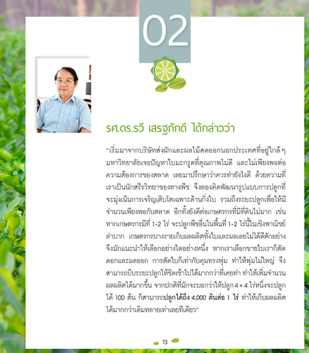 หนังสือ-ปลูกมะกรูดตัดใบขาย