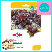 เมล็ดพันธุ์ผักสลัดรูบีคคอส ศรแดงRED COS LETTUCE SEEDS SORNDAENG **หมดแล้วหมดเลย**