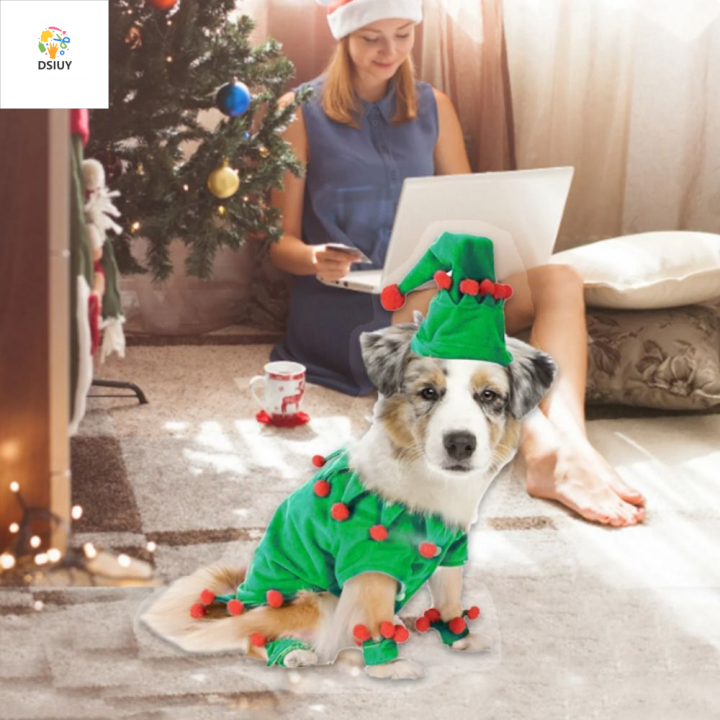 Pet clearance elf costume