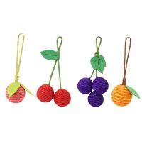 Interactive Cat Toys Playing Toy Educational Toys Kitty Kitten Fun Playing Catch Chew Cat Toy for Training Exercise Catcher Toys