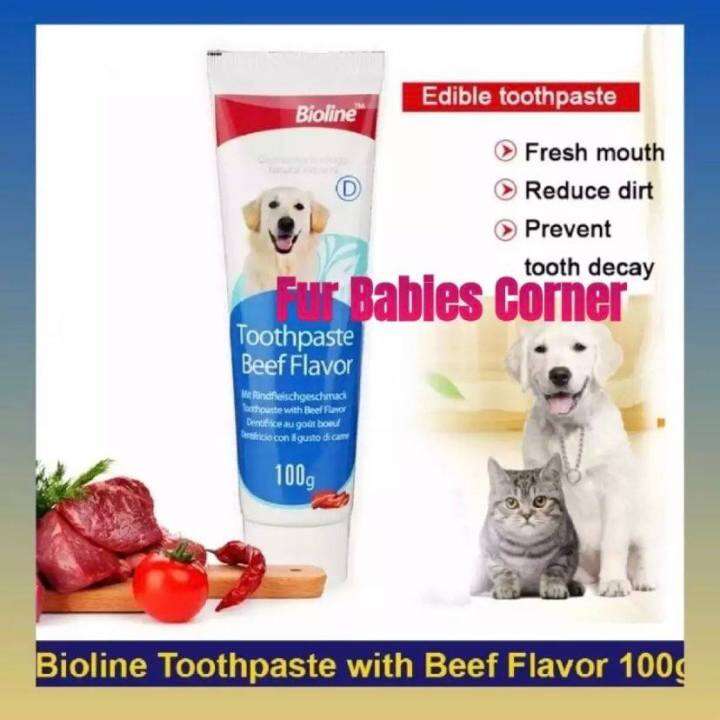 Bioline Dog Toothpaste 100g (Beef Flavor) Lazada PH