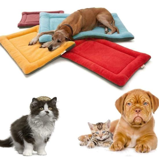 Popular x colorful blanket kennel soft pet dog cat mat spring autumn - ảnh sản phẩm 1