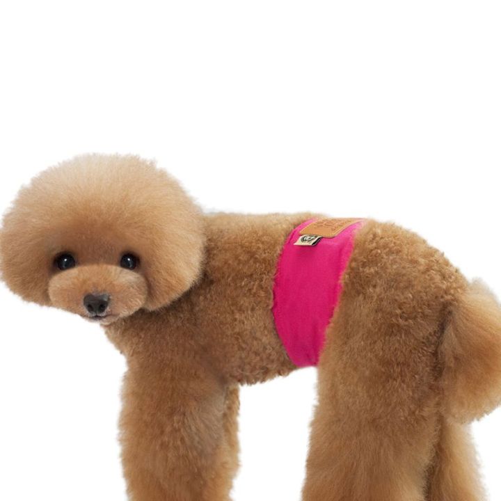 ผ้าอ้อมสุนัขชายกางเกงรองรับสรีระสุนัขใช้ซ้ำได้ซักได้ลูกสุนัขกางเกงขาสั้นสำหรับสุนัขสัตว์เลี้ยง