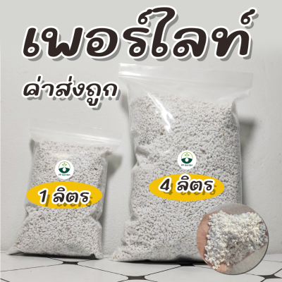 ถูกที่สุด เพอร์ไลท์ (Perlite) พร้อมส่ง เพื่อไม้มงคล ไม้ฟอกอากาศ ไม้ดอก ไม้ประดับ แคคตัส ไม้อวบน้ำ