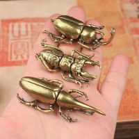 Original Solid Brass Beetle Ornament Creative Unicorn Imitation Copper Insect Tea Pet Hand Play Handle Children Play House Toys