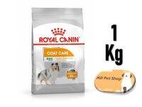 (ฟรีของแถม) Royal Canin Mini Coat Care 1Kg โรยัล คานิน สูตรสุนัขโตต้องการบำรุงขนเป็นพิเศษ ขนาด 1 กิโลกรัม