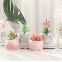 Marble Pattern Flower Pot Artificial Plastic Cactus Succulents Potted Plant Home Office Desktop Decor Bonsai