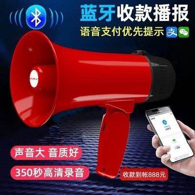 Best-selling handheld lithium battery charging megaphone loud public ...