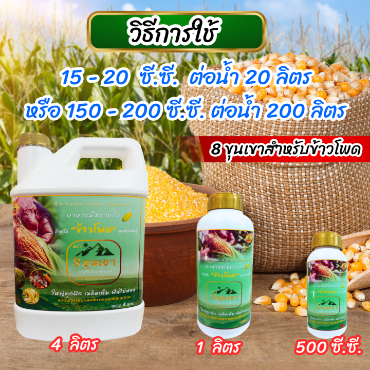 พร้อมส่ง-8ขุนเขา-ข้าวโพด-4-ลิตร-อาหารเสริมพืช-ฮอร์โมนข้าวโพด-อะมิโน-ปุ๋ยฉีดทางใบ-ยาฉีดข้าวโพด-ฮอร์โมน-ปุ๋ยฉีดข้าวโพด