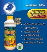 แม็กบาร์ MgO 10% #แมกนีเซี่ยมเข้มข้น สำหรับพืช เร่งเข้าสี สะสมอาหาร 1 ลิตร