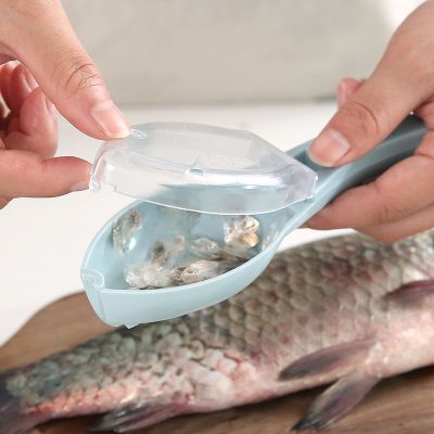 【CC】✴❍✠  New Accessories Cozinha Scale Remover Cleaning Peeler Practical Supplies Gadgets