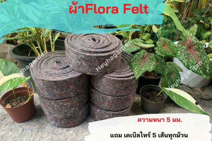 ผ้าเฟลท์-flora-felt-สำหรับทำเสาไม้เลื้อย-ทำเสาหลักปักต้นไม้-ยาว-2เมตร