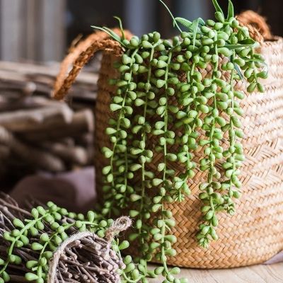 【cw】Artificial Succulents Vine Plants Beads Decorated Flower Wall Hanging Basket Rattan Soft Plastic Fake PlantsTH
